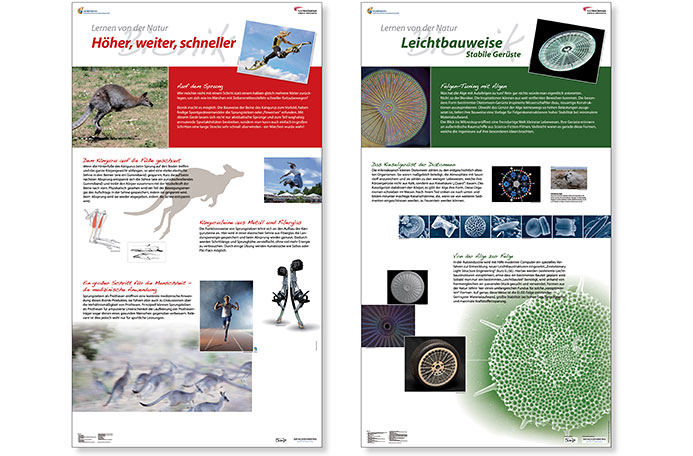 Ausstellungstafeln-Bionik 2