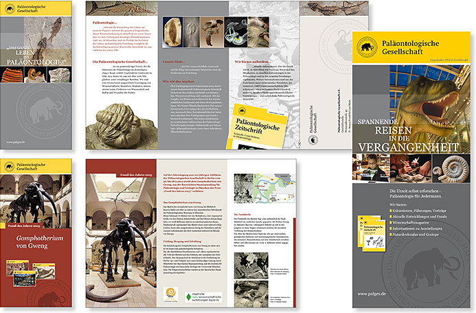 Flyer-Palaeontologie